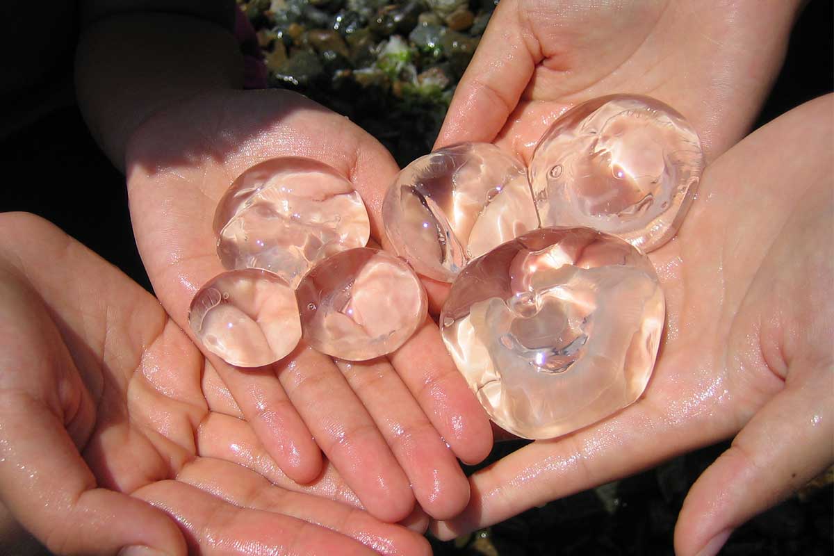 ツアーイメージ